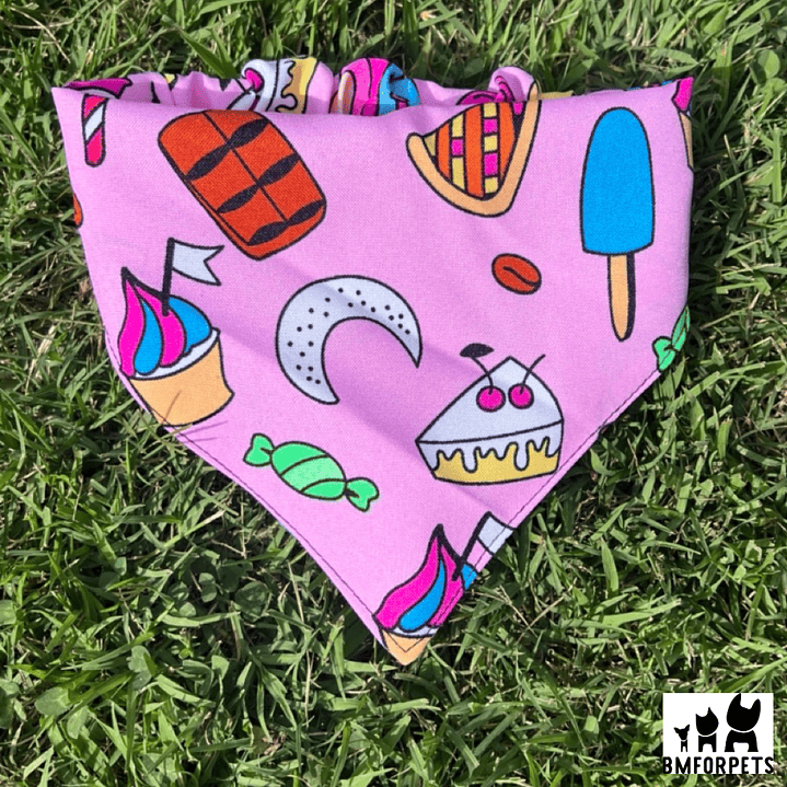 bandana perros temporada 2025 11