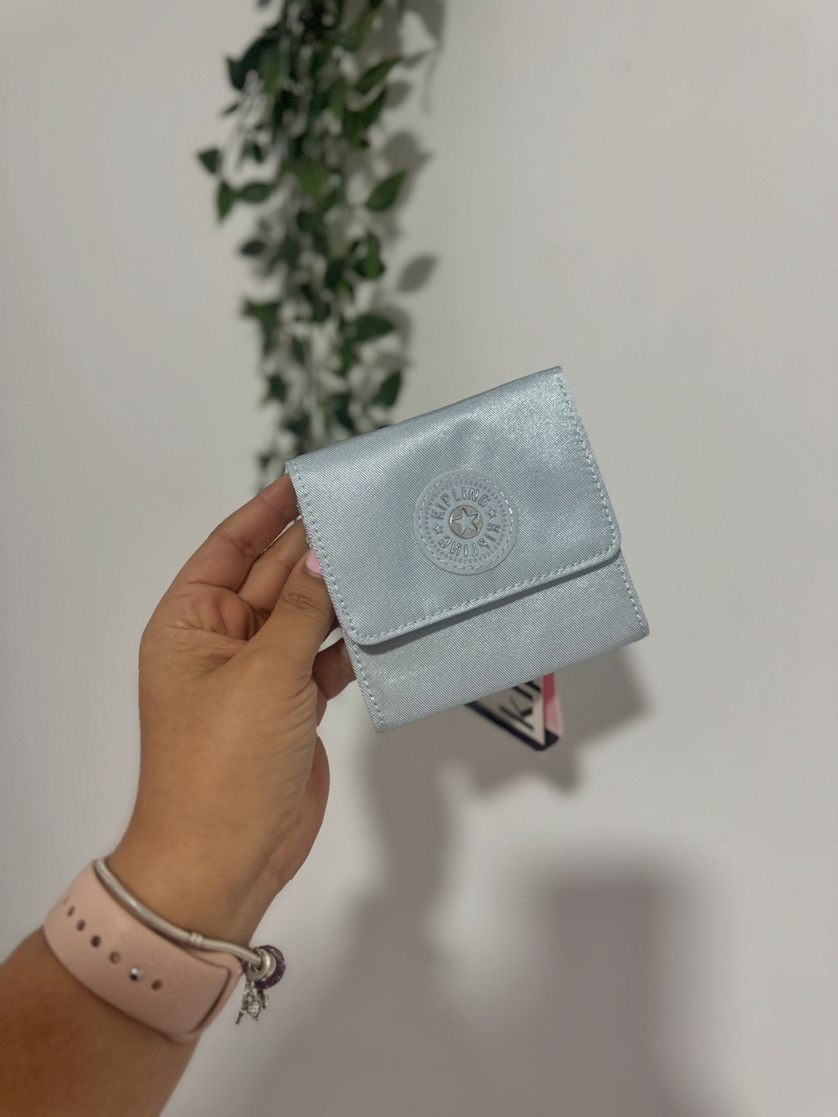 BILLETERA CECE
