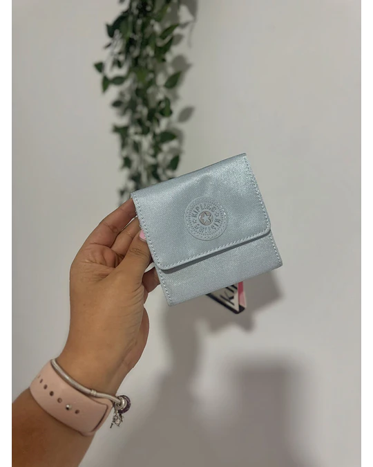 BILLETERA CECE 