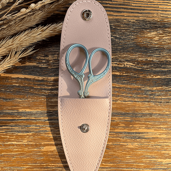 Scissors with case 2