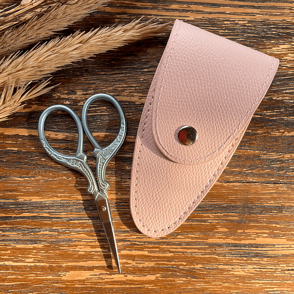 Scissors with case 3