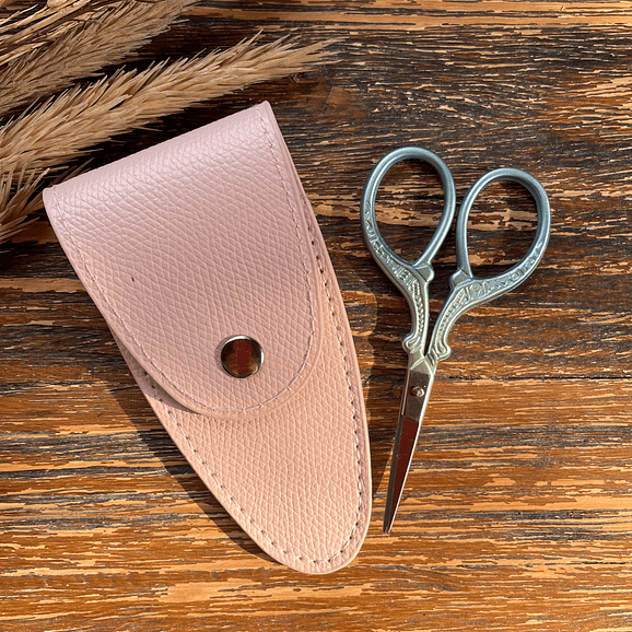 Scissors with case 1