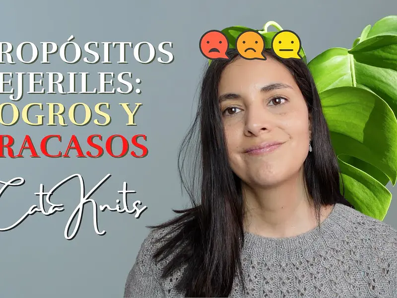 Propósitos Tejeriles🚦Logros y Fracasos en el año 2022 💚💛❤️
