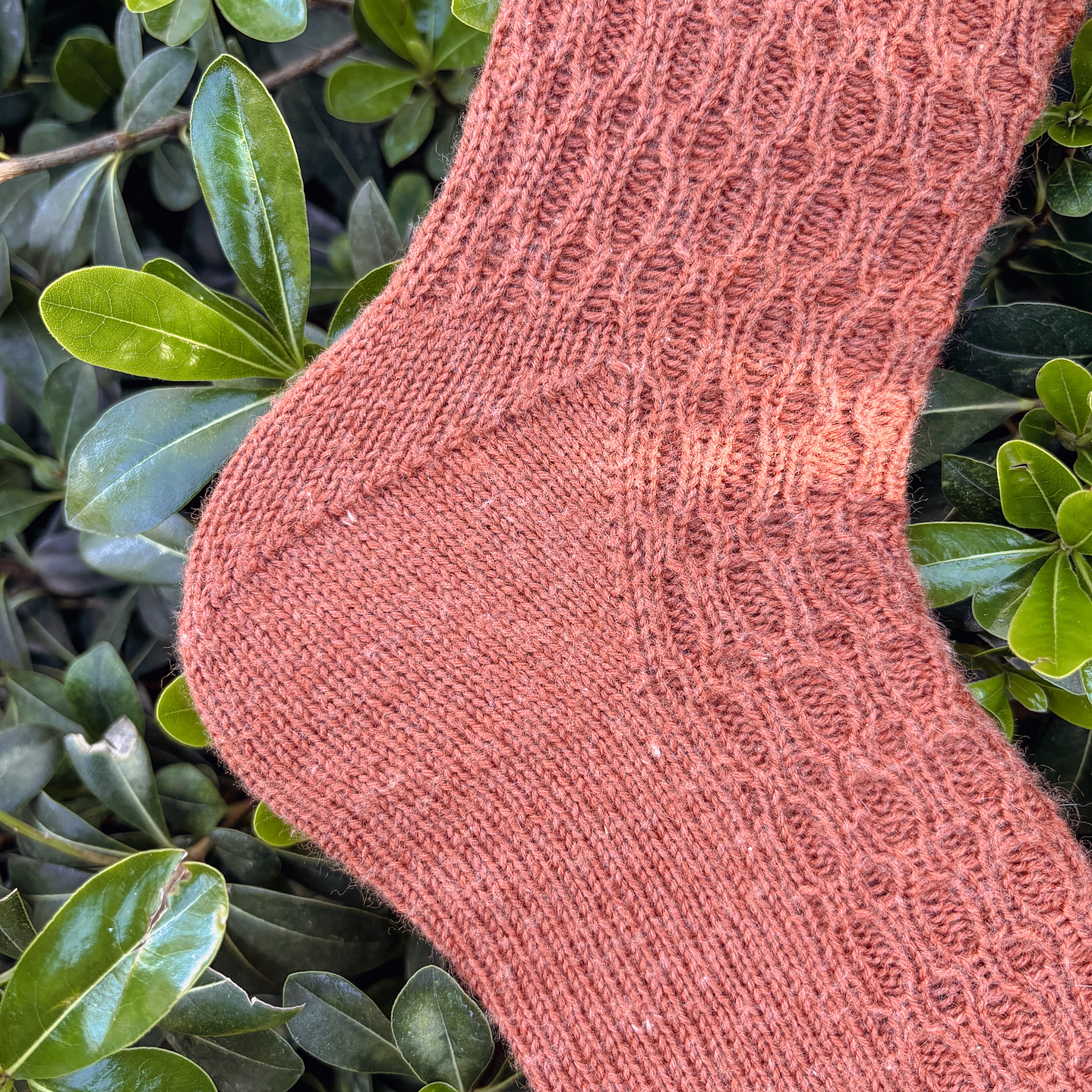 Ascanio Socks - Knitting Pattern 4