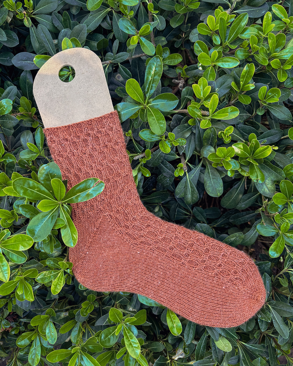 Ascanio Socks - Knitting Pattern 2