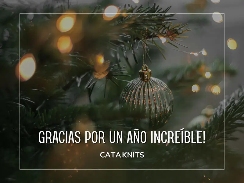 A look at 2024 and a Christmas gift for you ❤️🎄