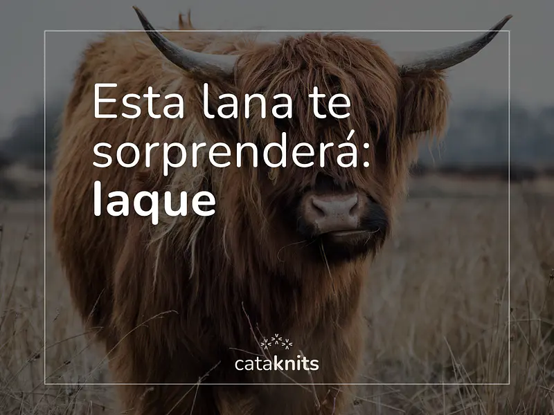 A very soft (and special) novelty has arrived at the store: meet Iaque!