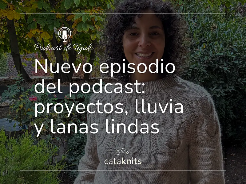 Nuevo episodio del podcast: proyectos, lluvia y lanas lindas 🎥