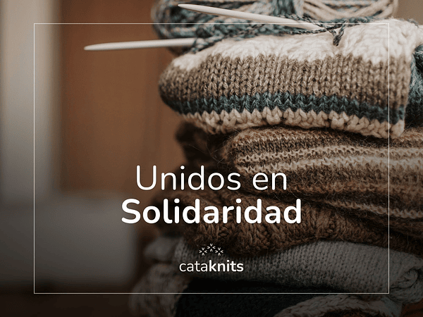 Unidos en Solidaridad
