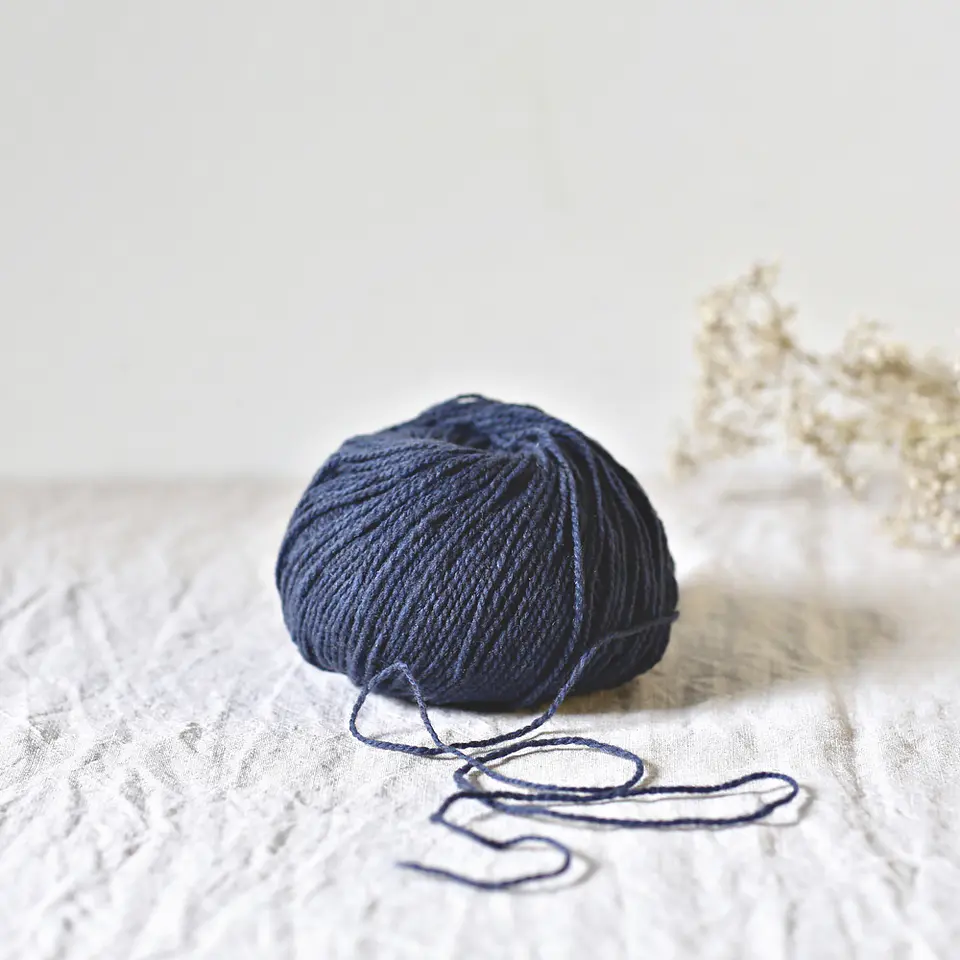 Ulysse – De Rerum Natura 5