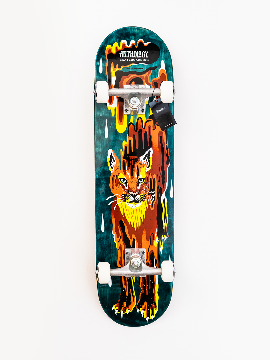 Tabla completa Puma anthology 1