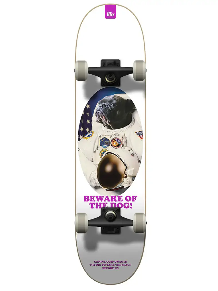 Skate Life PRO Completo  8,25