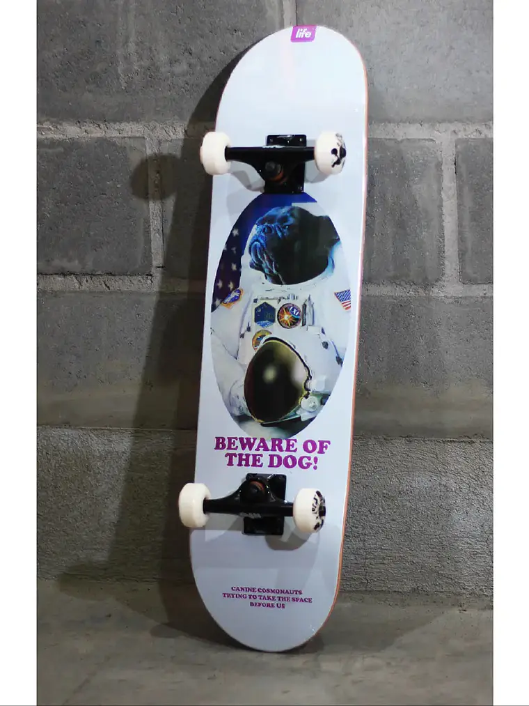 Skate Life PRO Completo  8,25