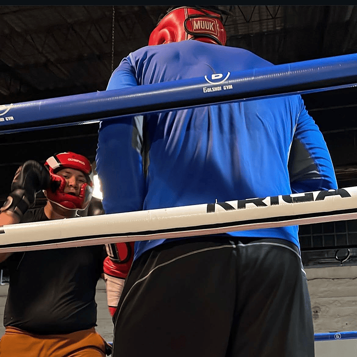 Plan Anual ilimitado 1