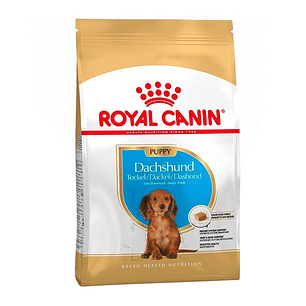 Alimento Royal Canin cachorro Dachshund 2,5kg