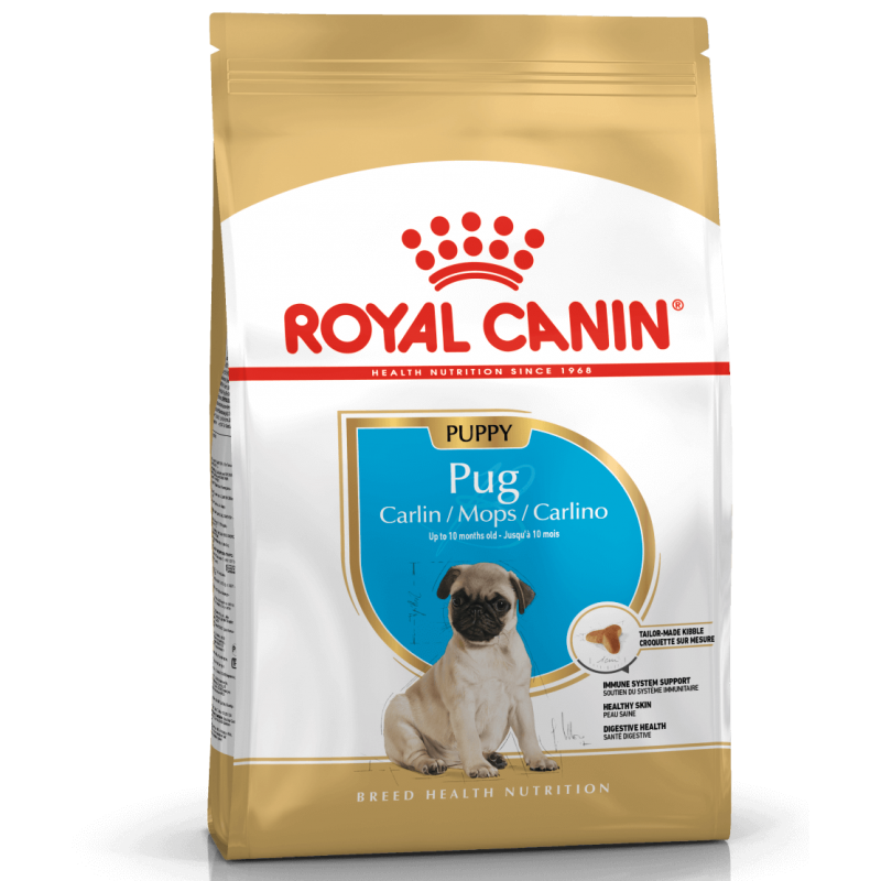 Alimento Royal Canin Pug Junior 2.5kg