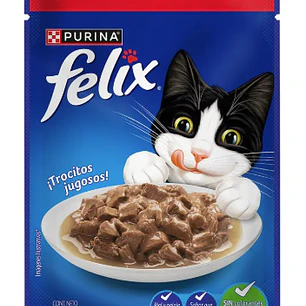 Pouch Felix Adulto Carne