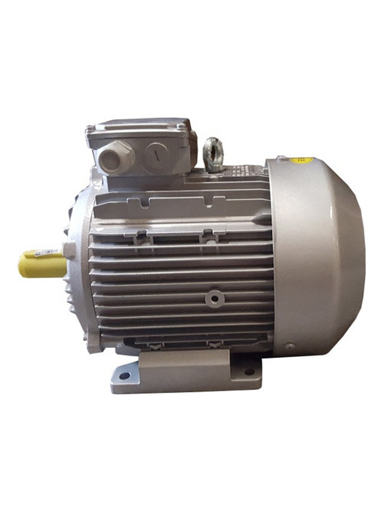 Motor Eléctrico 4hp Trifásico 380V 1450 Rpm 4 Polos 2