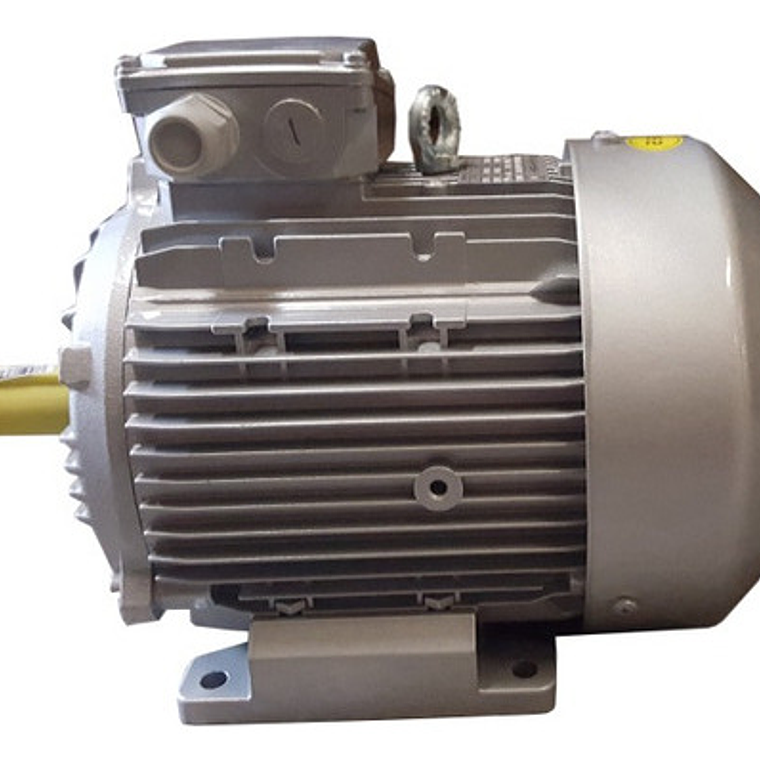 Motor Eléctrico 4hp Trifásico 380V 1450 Rpm 4 Polos 2