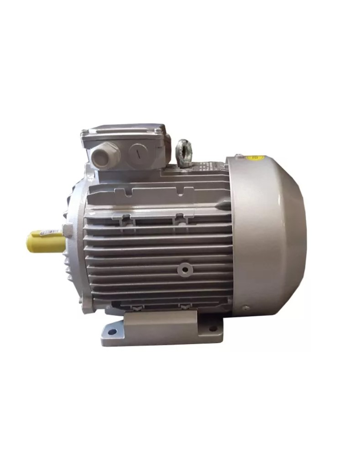 Motor Eléctrico e-Storm 5.5hp Trifásico 2850 Rpm 3