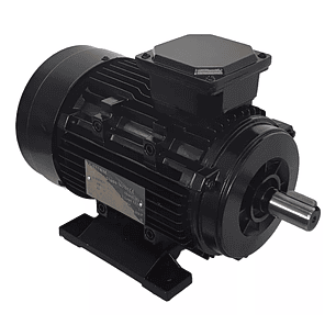 Motor Eléctrico 4hp Trifásico 380v 2850 Rpm 2 Polos Rapido.