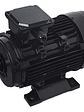 Motor Electrico 2.0 Hp Trifasico E-storm 2850rpm - Miniatura 2