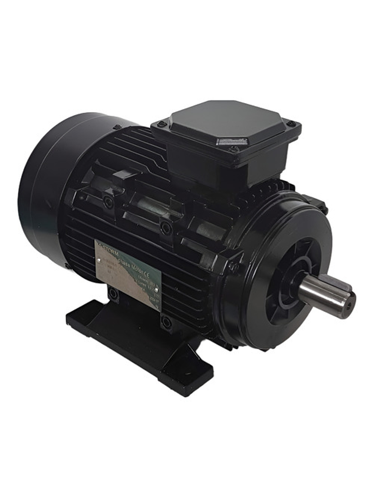 Motor Electrico 3.0 Hp Trifasico E-storm 1450rpm 1