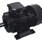 Motor Electrico 3.0 Hp Trifasico E-storm 1450rpm - Miniatura 2