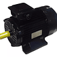 Motor Eléctrico 4hp Trifásico 380V 1450 Rpm 4 Polos - Miniatura 1