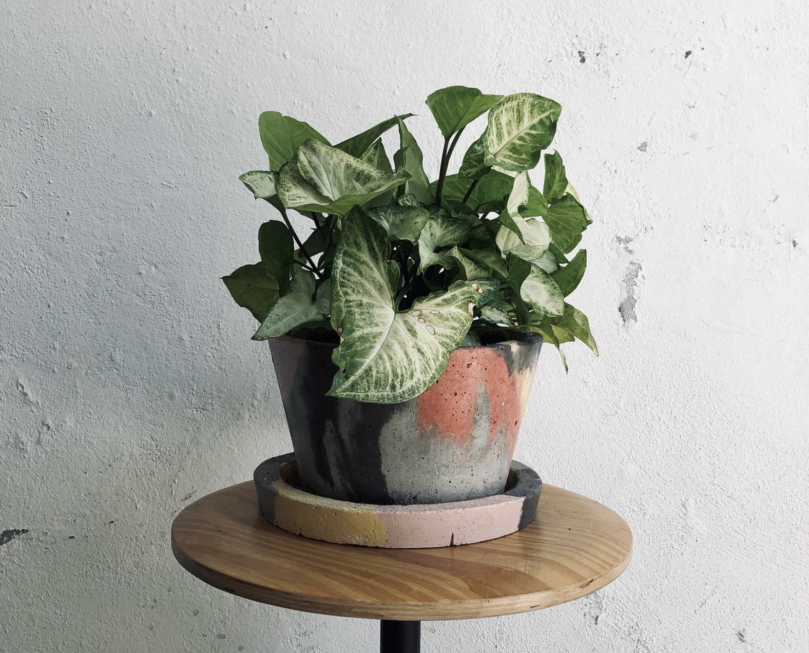 O cimento pode ser ecológico? Mitos e verdades