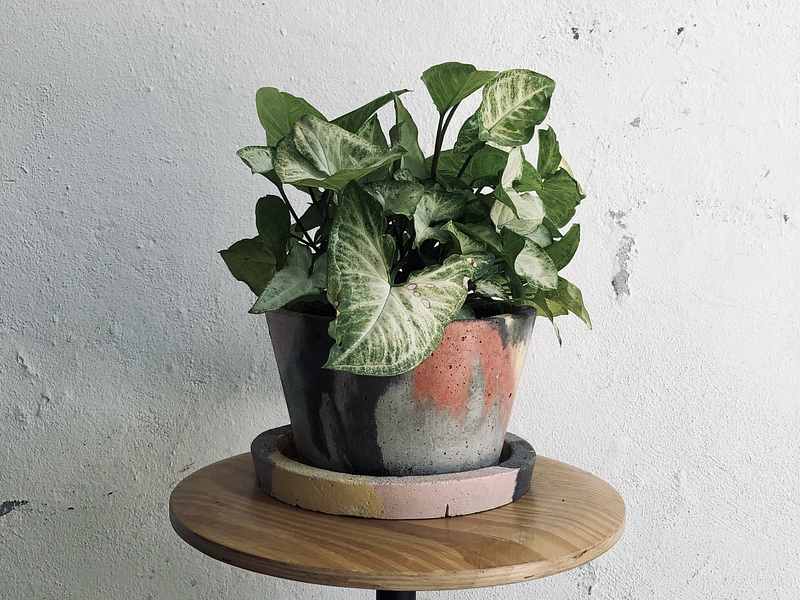 O cimento pode ser ecológico? Mitos e verdades