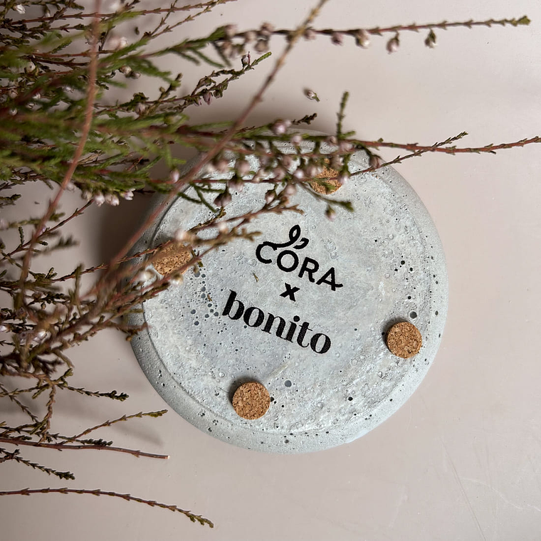 Coffret Vela S Maré 3