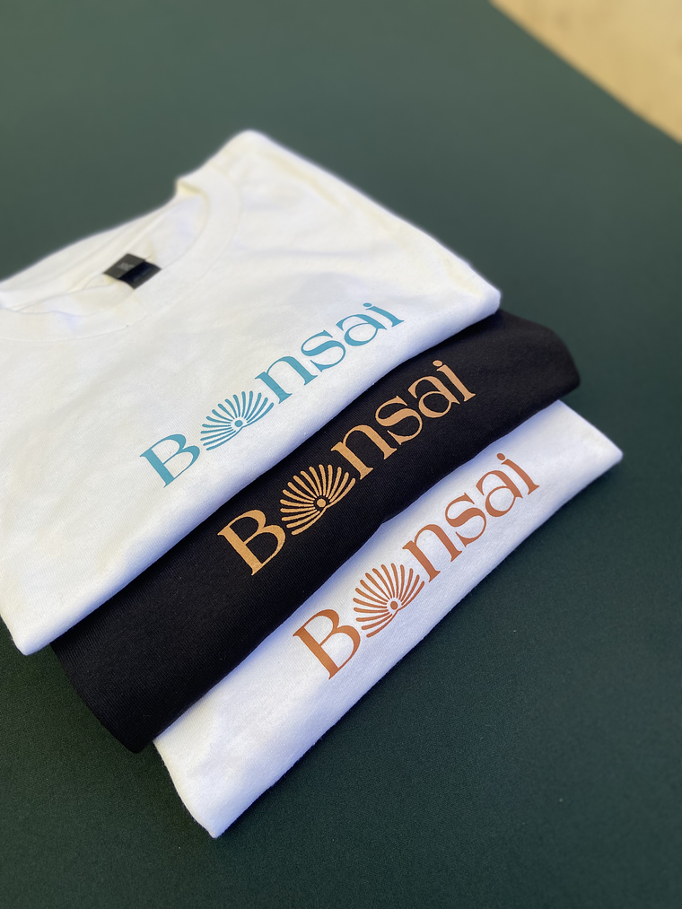 PRIMERA COLECCIÓN  2