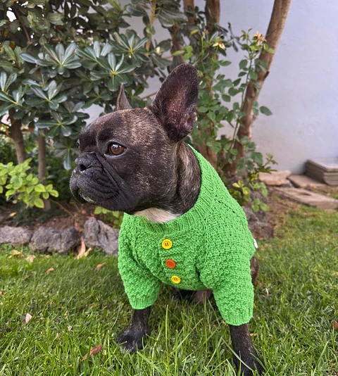 Sweater Bruma