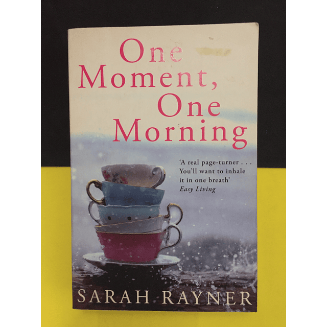 Sarah Rayner - One Moment, One Morning