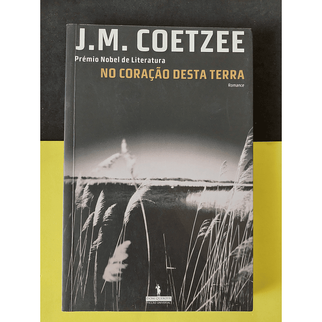 J. M. Coetzee - No Coração desta Terra