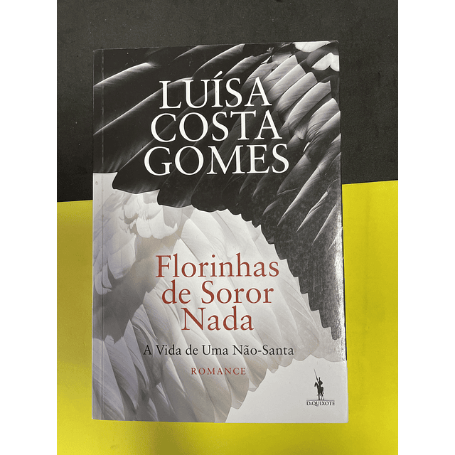 Luísa Costa Gomes - Florinhas de Soror Nada 