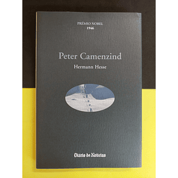 Hermann Hesse - Peter Camenzind