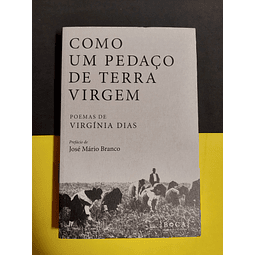 Virgínia Dias - Como um pedaço de terra virgem