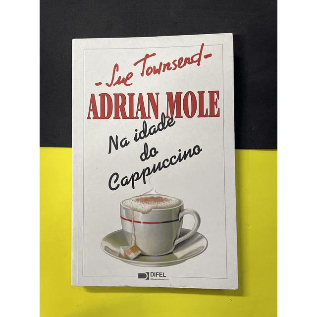 Sue Townsend - Adrian Mole: Na Idade do Cappuccino 