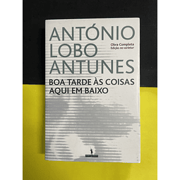 António Lobo Antunes - Boa Tarde às coisas aqui em baixo 