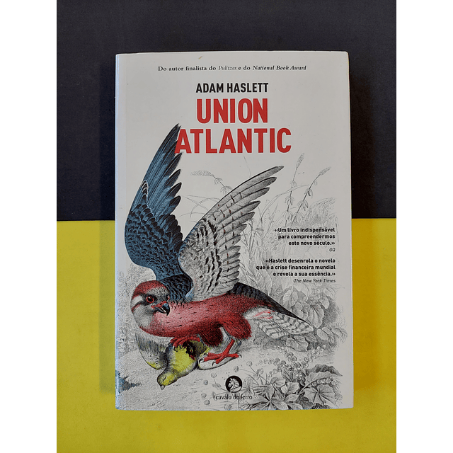 Adam Haslett - Union Atlantic