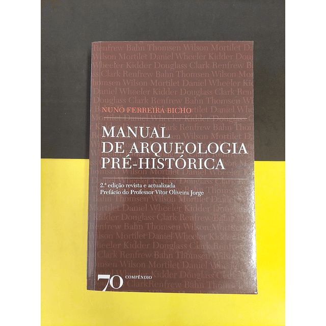 Nuno Ferreira Bicho - Manual de arqueologia pré-histórica 