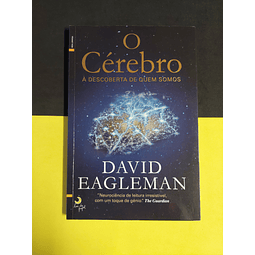 David Eagleman - O cérebro