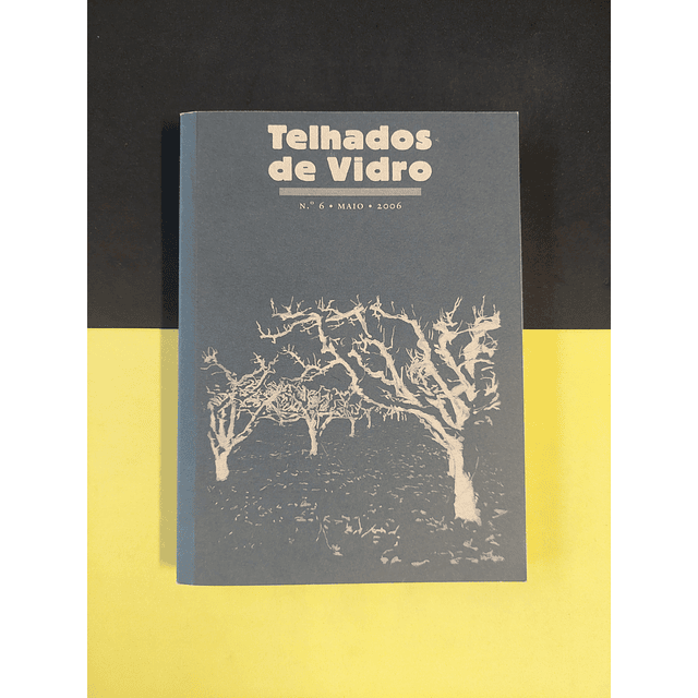 A. M. Pires Cabral - Telhados de vidro nº6