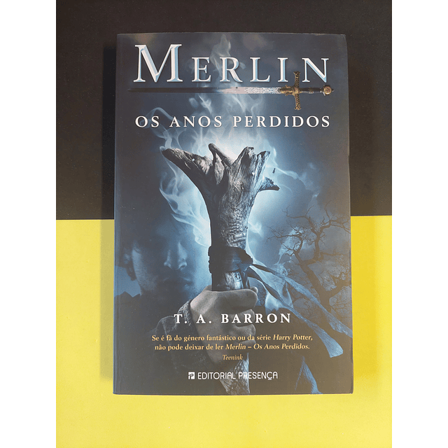 T. A. Barron - Merlin, Os anos Perdidos