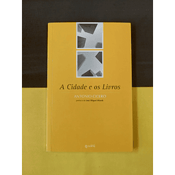 Antonio Cicero - A cidade e os livros 
