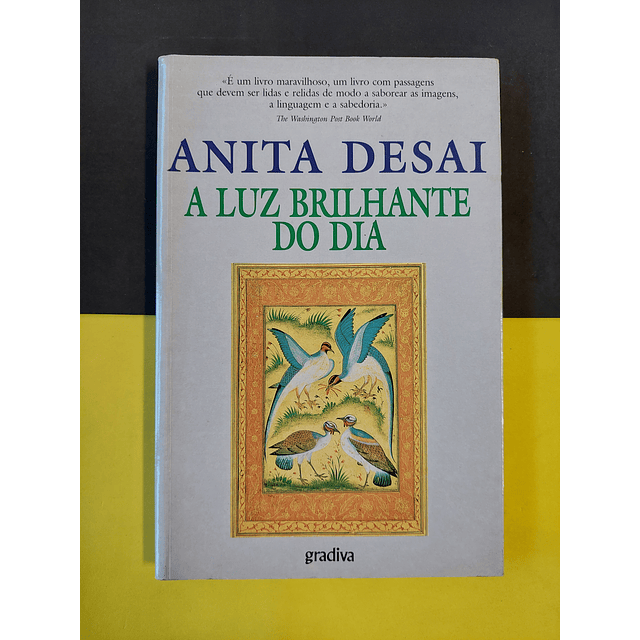 Anita Desai - A luz brilhante do dia 