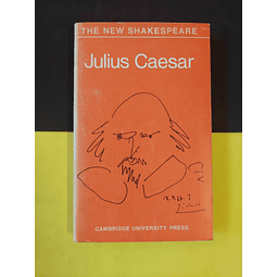 The new Shakespeare: Julius Caesar 