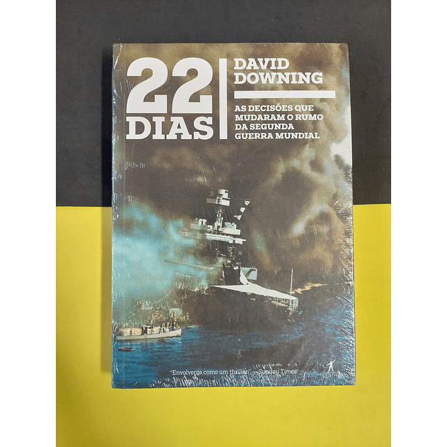 David Downing - 22 dias 